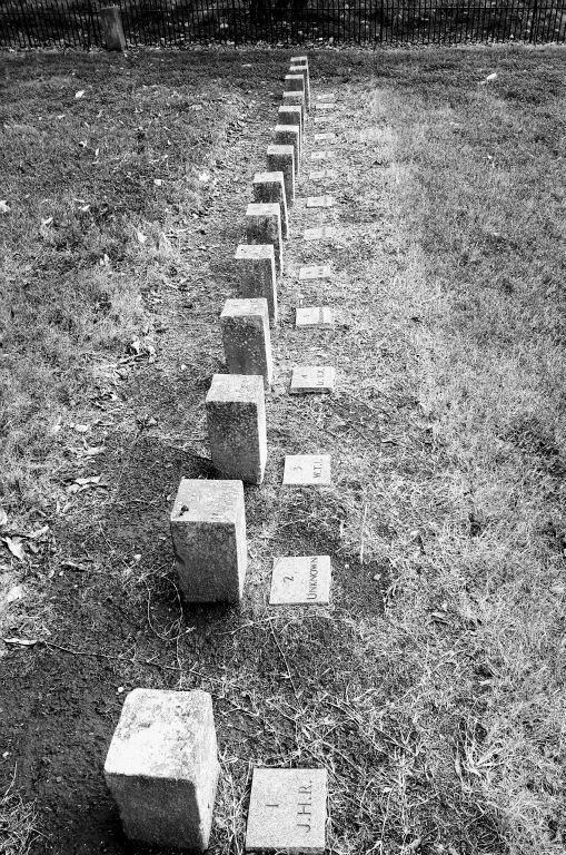 Individual graves of the 1496 confederate soilders buried here.  780 have been identified while the rest remain unknown.